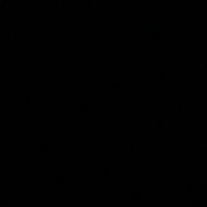 Meet your Posher, Ella